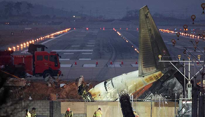 جہاز کے حادثے میں بطخوں کے آثار کا انکشاف: ابتدائی رپورٹ میں اہم تفصیلات