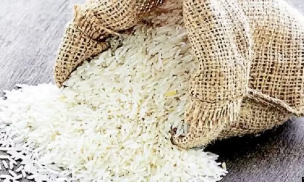 Major Victory for Pakistan: India Defeated in Global Battle Over Basmati Rice Ownership