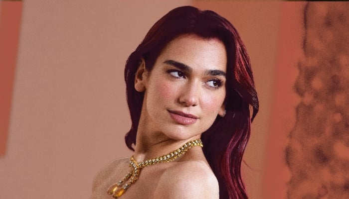Dua Lipa Eyes Acting Career After Grammy Success
