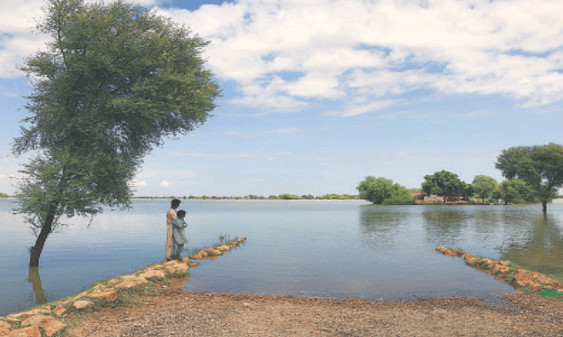 Massive Flooding Hits Punjab and Sindh