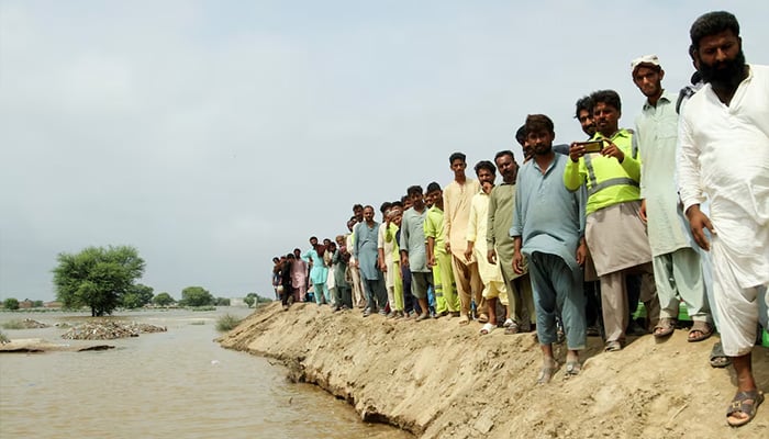 Floods have severely affected the basmati rice crop, but with waters now receding, losses are expected to remain limited provided there is no additional rainfall, said Nitin Gupta, senior vice president at Olam Agri India. India’s northern states of Punjab and Haryana contribute over 80% of the country’s total basmati rice production, while Pakistan’s Punjab province accounts for more than 90% of its output. Heavy rainfall in late August and earlier this month caused the Ravi, Chenab, Sutlej, and Beas rivers to overflow, flooding these regions. Initial assessments indicate that crops such as paddy, cotton, and pulses on nearly one million hectares were affected in Punjab and Haryana, said an Indian government official. In Pakistan’s Punjab province rice, sugarcane, corn, vegetables, and cotton on thousands of hectares were submerged earlier this month. The floods have hit farmers hard, just as crops such as basmati rice and cotton were nearing harvest, said Ibrahim Shafiq, export manager at Latif Rice Mills Pvt Ltd. In India and Pakistan, paddy seedlings are usually transplanted in June–July, with harvesting starting in late September. Residents stand on the rooftop of a submerged house in Kheda district of the western state of Gujarat, India, September 8, 2025. — Reuters The industry was expecting a bumper crop, but the damage is likely to reduce supplies and push basmati rice prices higher, Shafiq said. “Conservative estimates put the damage at 20% of basmati rice grown in Pakistan…This would definitely drive up the price for basmati rice in local markets as well as international markets,” Shafiq said. Traders have raised prices by $50 per ton over the past week, and they could rise further if supply shortages remain significant by the end of the harvest, said Gupta of Olam. However, some industry officials, including Karachi-based Chela Ram Kewlani, say the current price rise is temporarily fuelled by reports of crop damage and is expected to ease once supplies from the new season’s harvest arrive. Monsoon Floods Threaten Basmati Rice Harvest in India and Pakistan