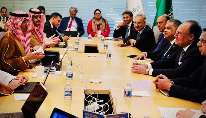 Finance Minister Aurangzeb Briefs Saudi Counterpart on PIA Privatisation, Seeks Support for Infrastructure Projects Finance Minister Aurangzeb Briefs Saudi Counterpart on PIA Privatisation, Seeks Support for Infrastructure Projects