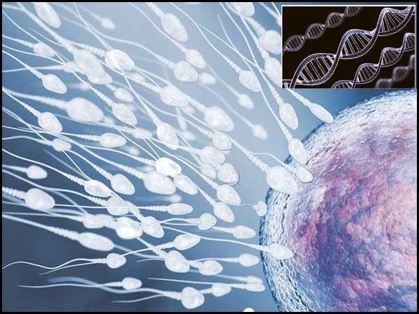 Becoming a Father at an Older Age: New Research Reveals “Selfish Sperm” and Child Health Risks