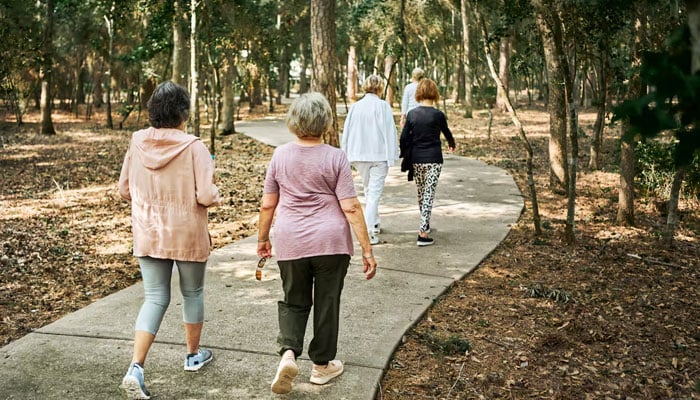 The Best Time for Coffee: Harvard Study Suggests Consumption Before Noon is Most Beneficial for Health