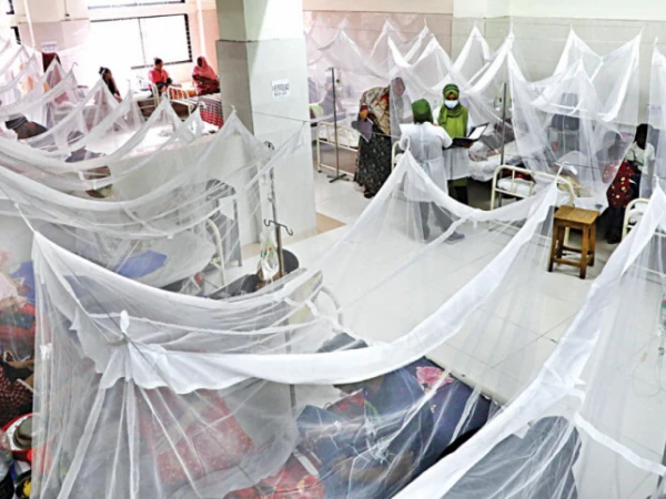 Rawalpindi: Dengue Cases Persist Despite Changing Weather, 19 New Patients Reported