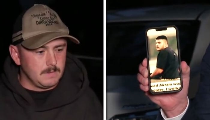 The Bondi Beach Terror Fog: Identity Wars and Geopolitical Blame Games