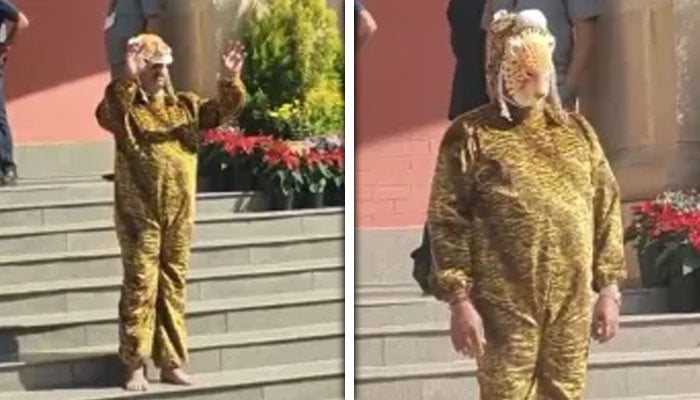 Leopard Protest Rocks Maharashtra Assembly Amidst Surge in Global Conflicts