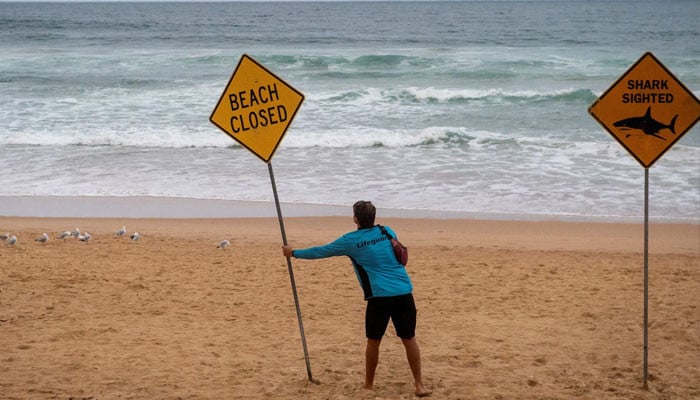 Shark Attacks in Australia: Multiple Beaches Closed Amid Concerns
