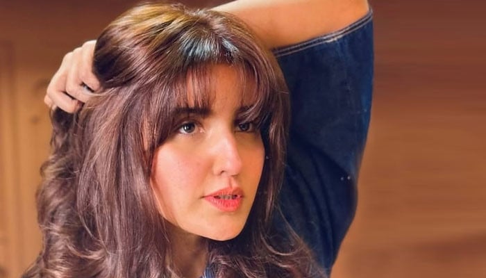 Haroon Farooq Reveals Her Ideal Life Partner Demands