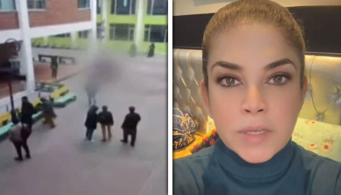 Pakistani Actress Meesha Shafi Slams University for Second Student Suicide Attempt