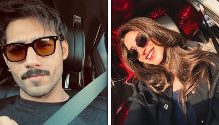 Ali Reza and Kanwal Aman to Share Screen Space Together?