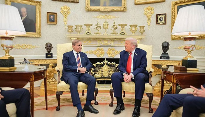 Pakistan Plays Key Role in Mideast Peace Efforts as Region Enters Turbulent Phase