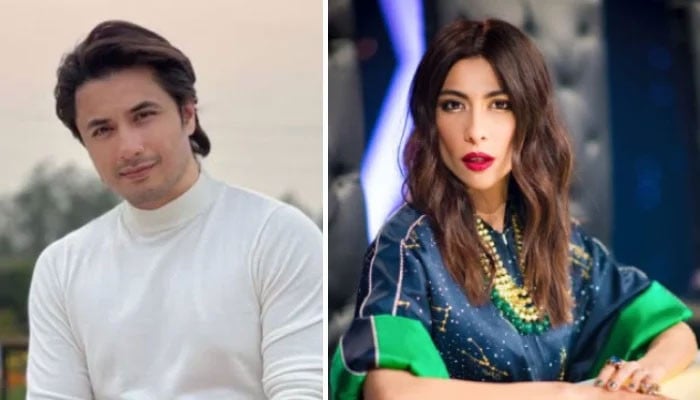 Pakistani Singer-Actor Ali Zafar Wins Defamation Case Against Misha Shafi